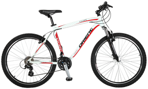 Picture of BIKE ORIENT 26" ESCAPE